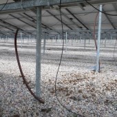 Regroup Solar Power Plant  4 MW Project